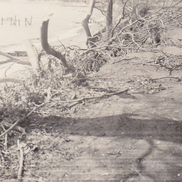 Montowese-road.jpg