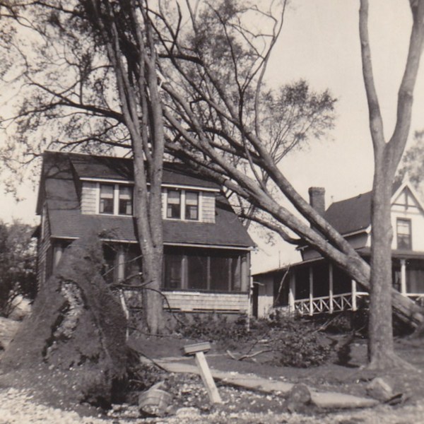 Linden Avenue: Mrs. Rockwell &amp; Mrs. Halbe