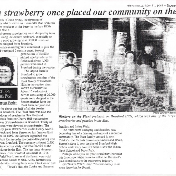 Strawberries #2.pdf